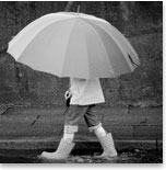 Weather & Climate Coming Soon Weather and Climate