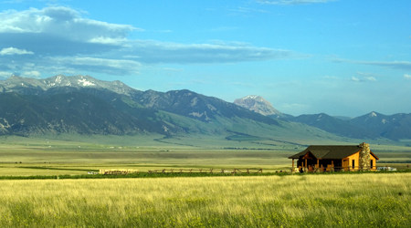 Temperate Grasslands, North America, KS2 Geography 