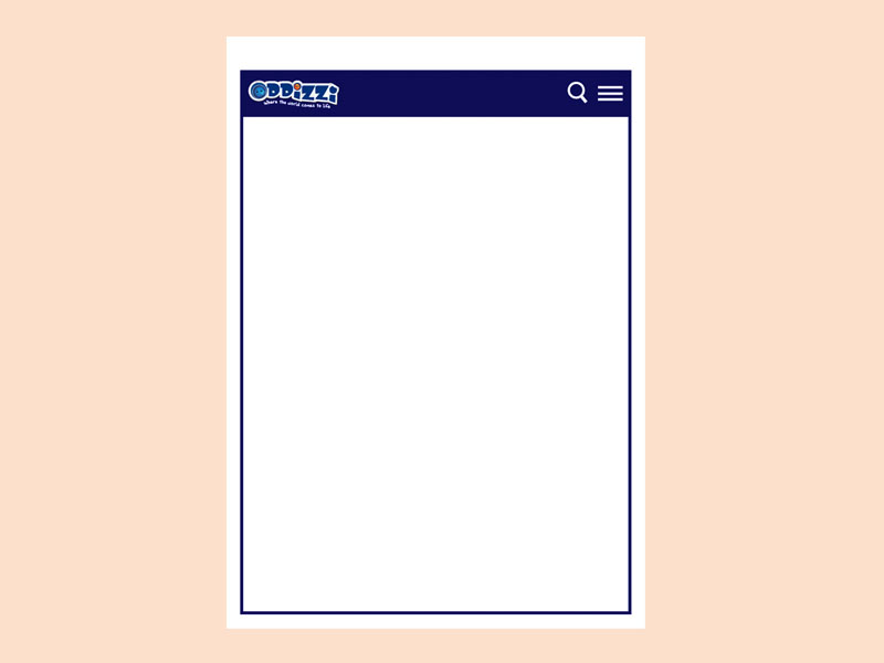 Basin Oddizzi Template 1 Panel