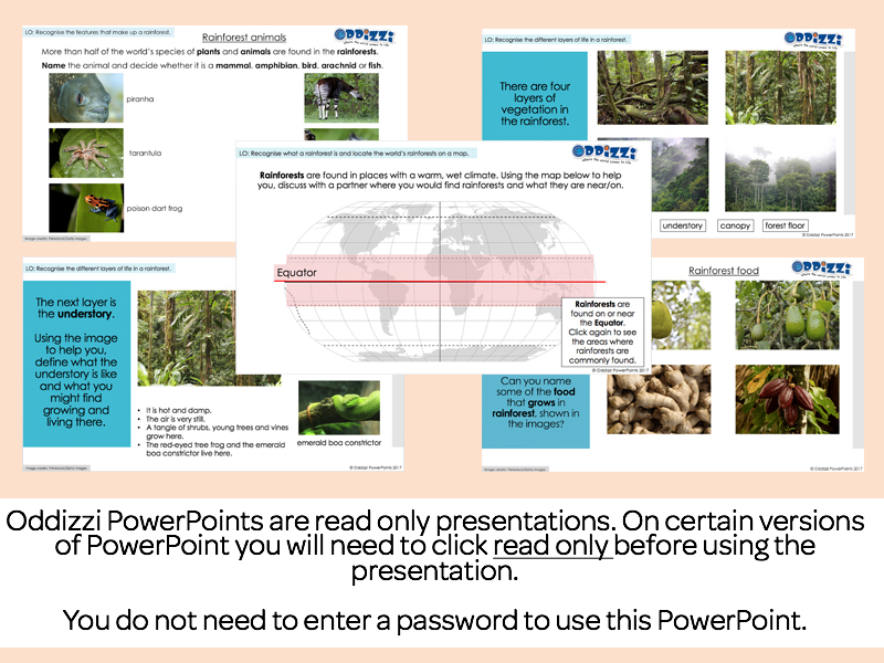 rainforest powerpoint