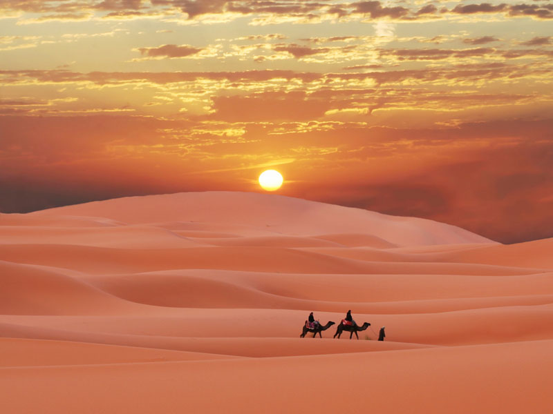 Image result for sahara desert