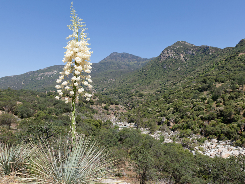 Mediterranean For Kids Location Climate Plants And Animals Mediterranean For Kids Location Climate Plants And Animals