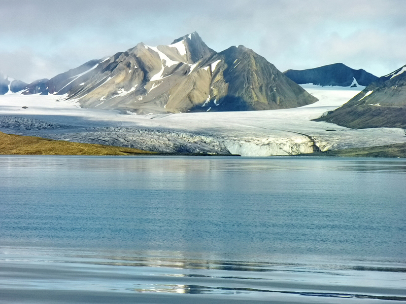 tundra regions for kids location climate plants and animals tundra ecosystem
