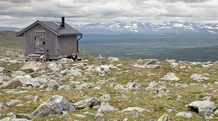 Tundra Regions For Kids Location Climate Plants And Animals - 