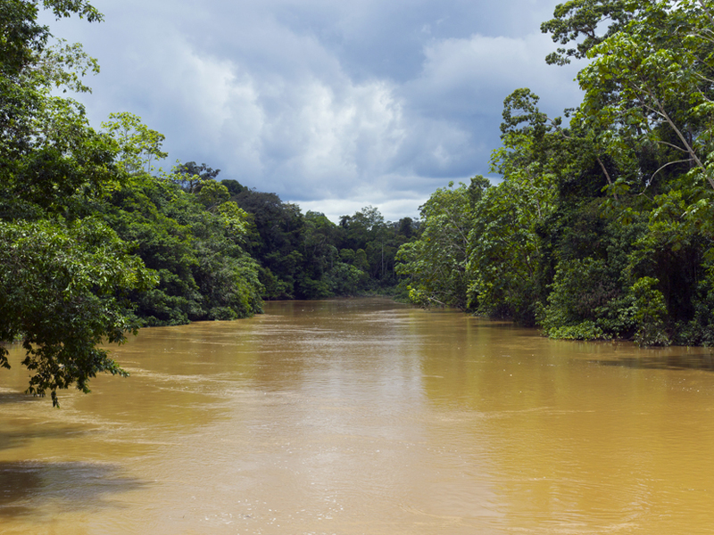 Amazon Facts For Kids About The World Famous River Amazon Facts For Kids About The World Famous River