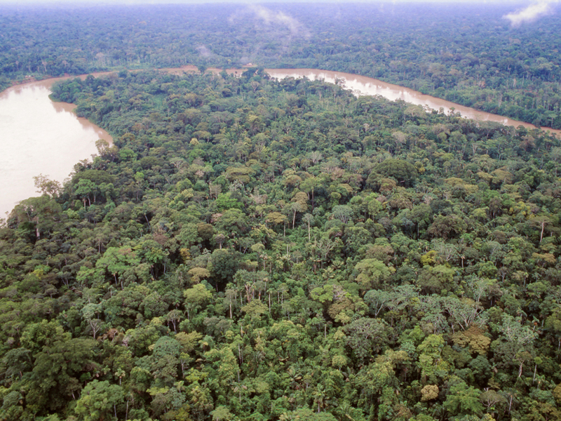 Amazon Facts For Kids About The World Famous River Amazon Facts For Kids About The World Famous River