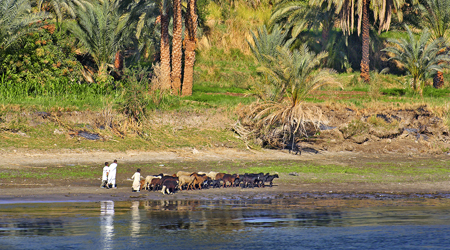 interesting facts about the nile river valley